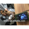 DW-VET6 Handheld Veterinär-Ultraschall-Maschine Preis mit CE-Zertifikat